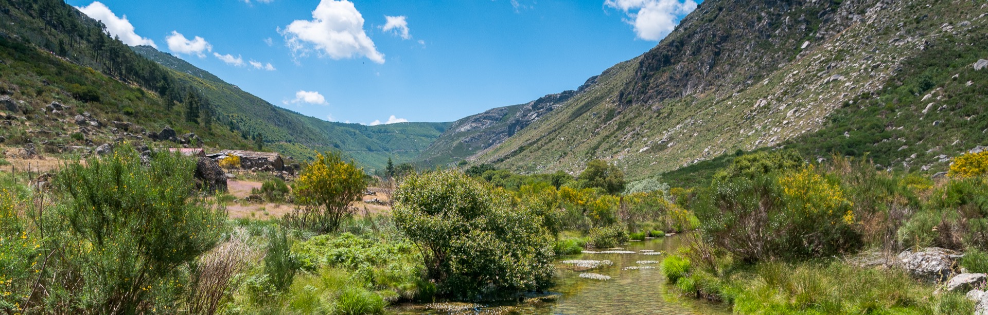 Sustainable Tourism