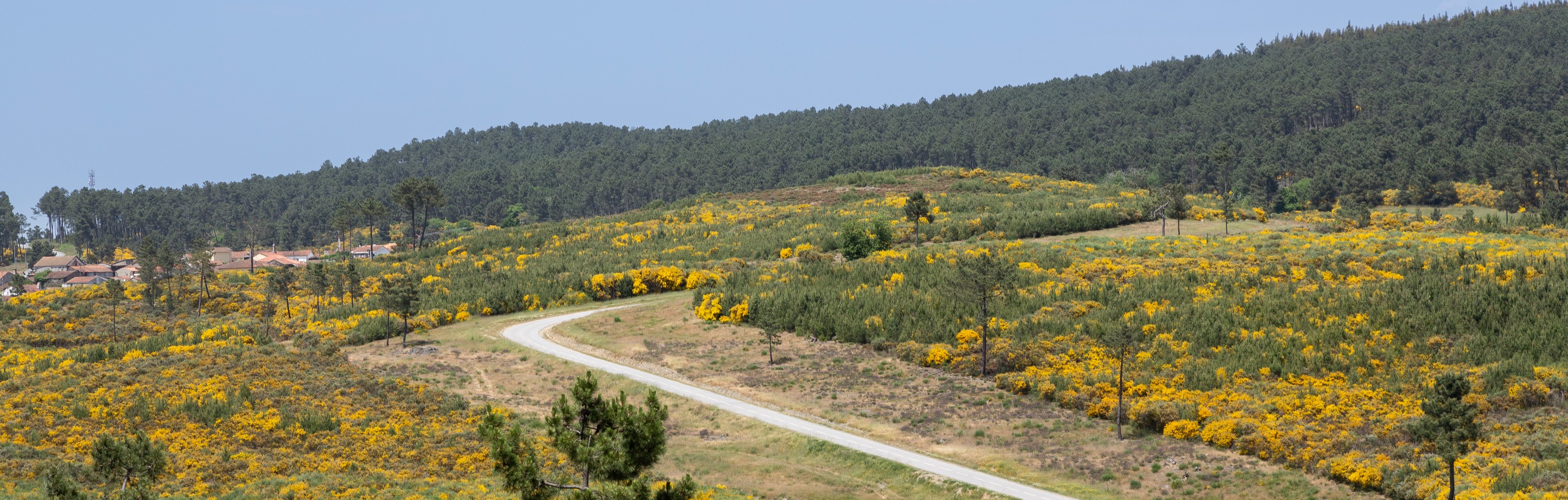 Types of Journeys in Portugal