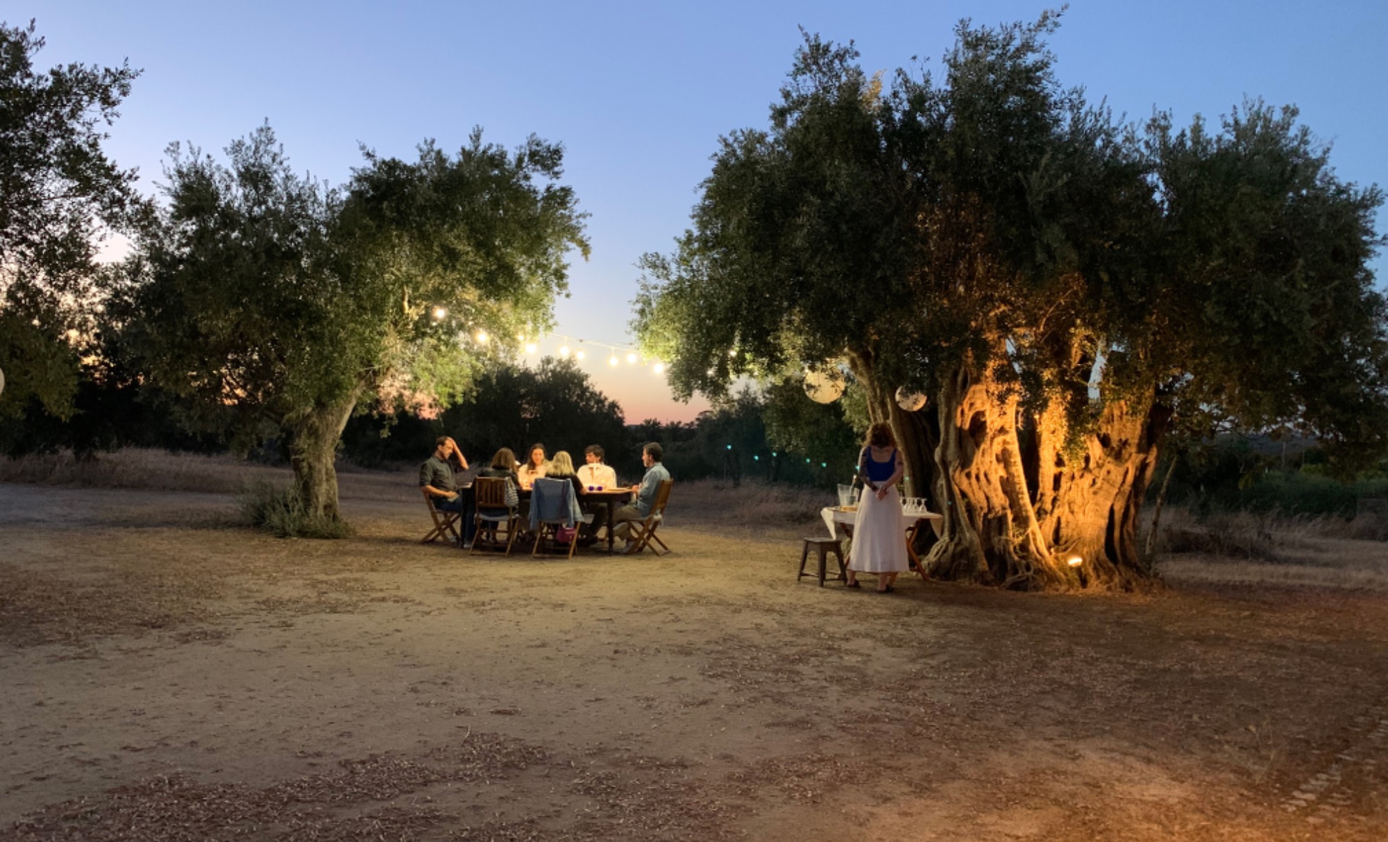 Immersive Journeys Experiences
