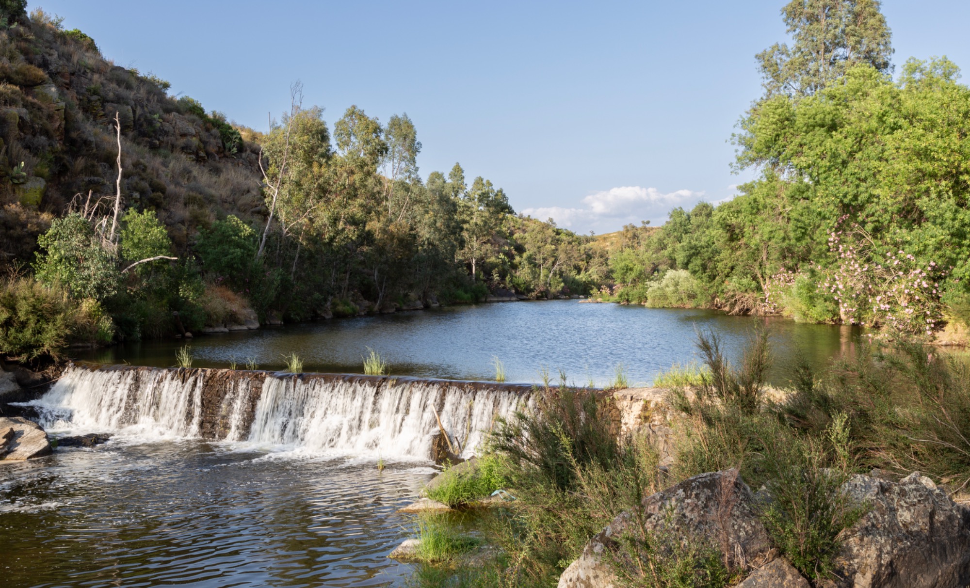 Sustainability that Inspires