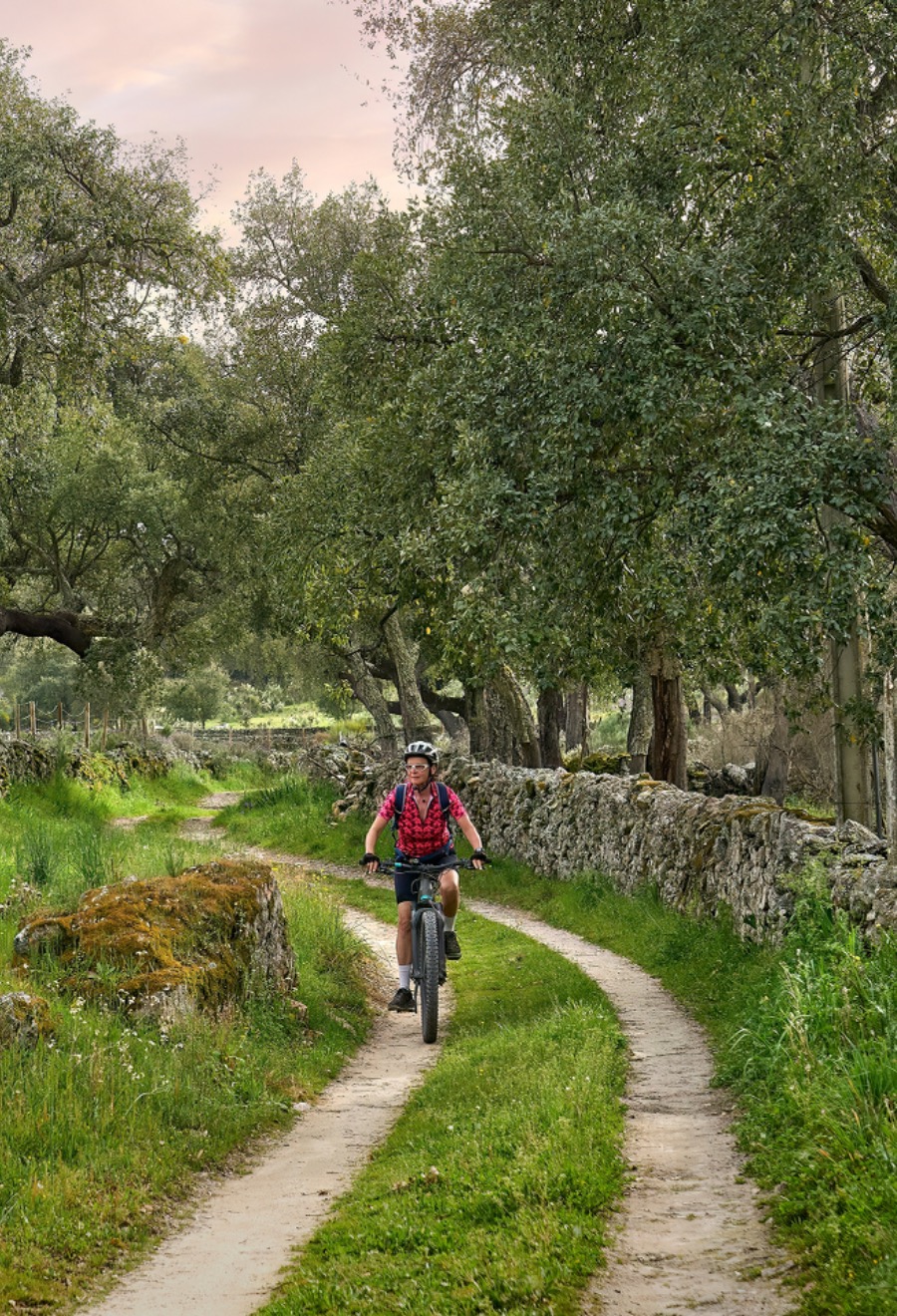 Immersive Journeys Central Portugal