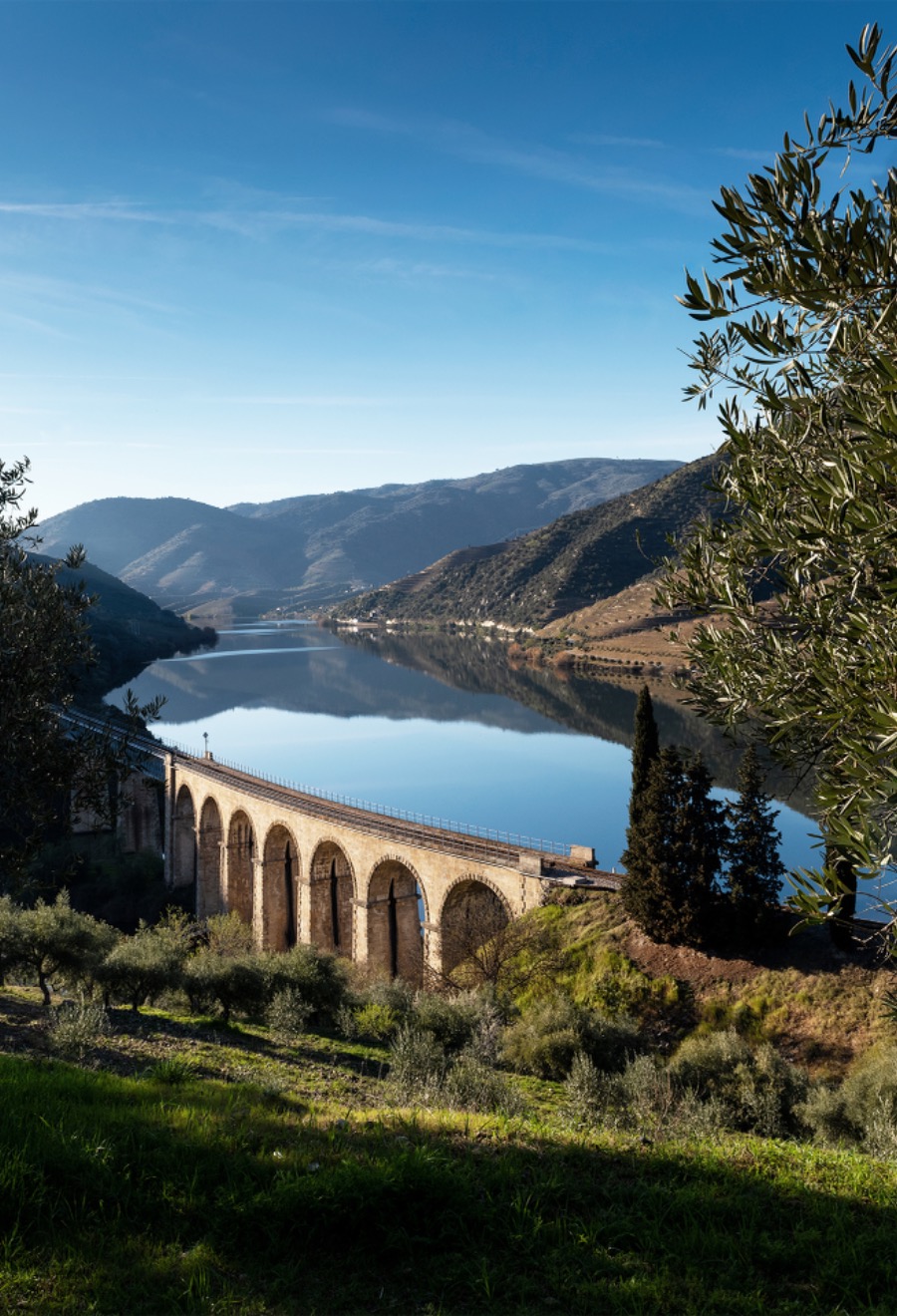 Immersive Journeys Douro Valley