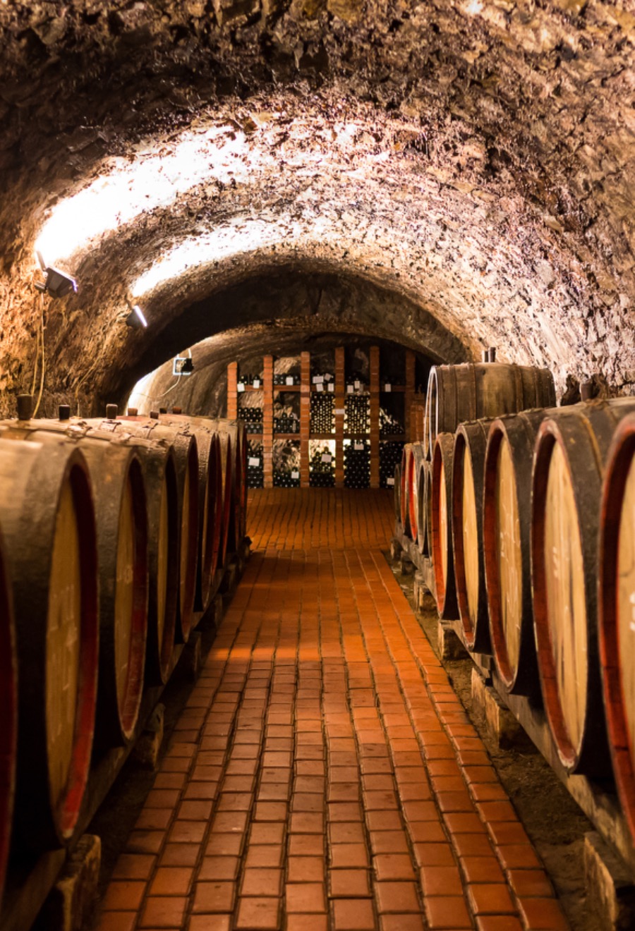 Immersive Journeys North of Portugal