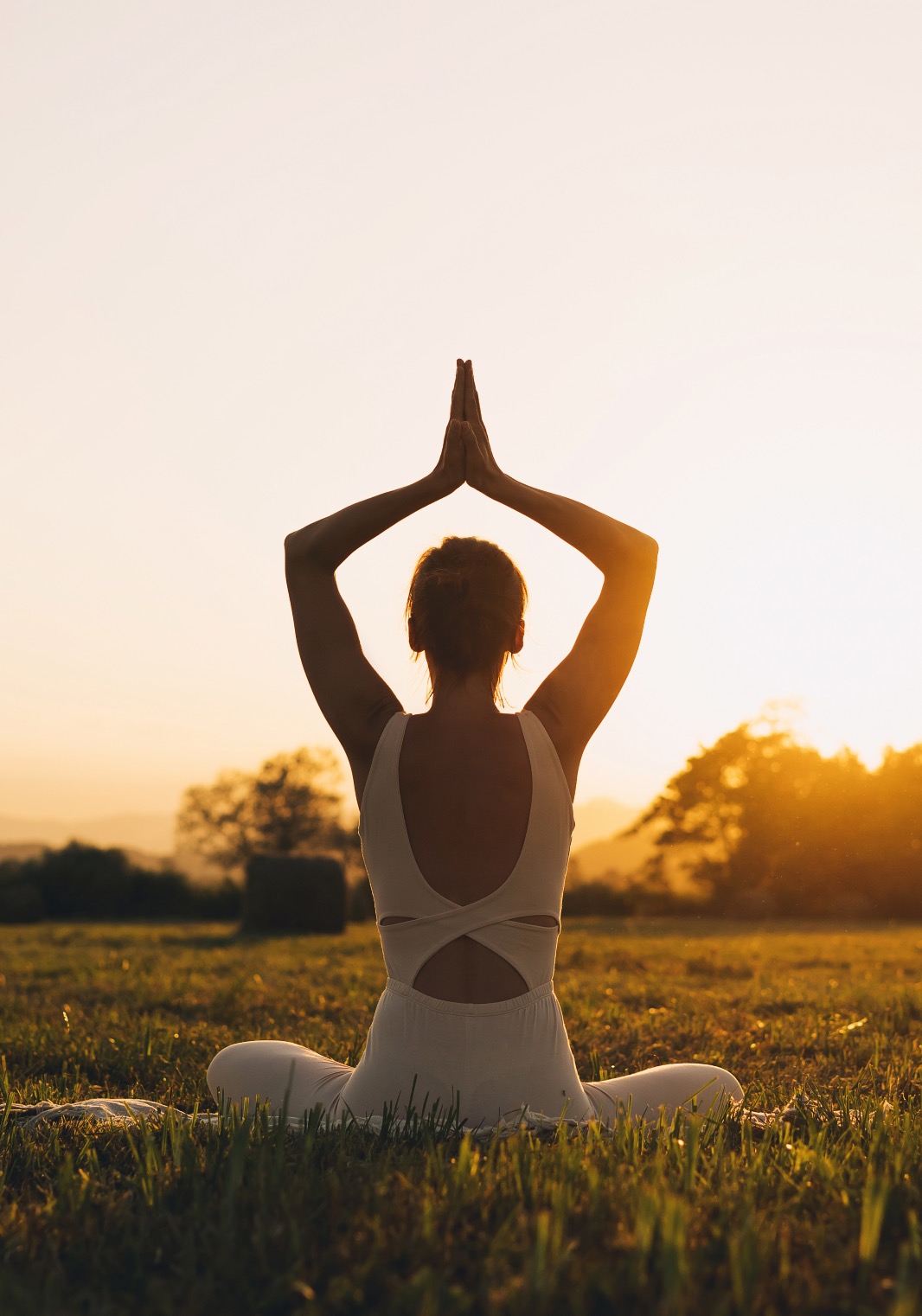Immersive Journeys Wellness