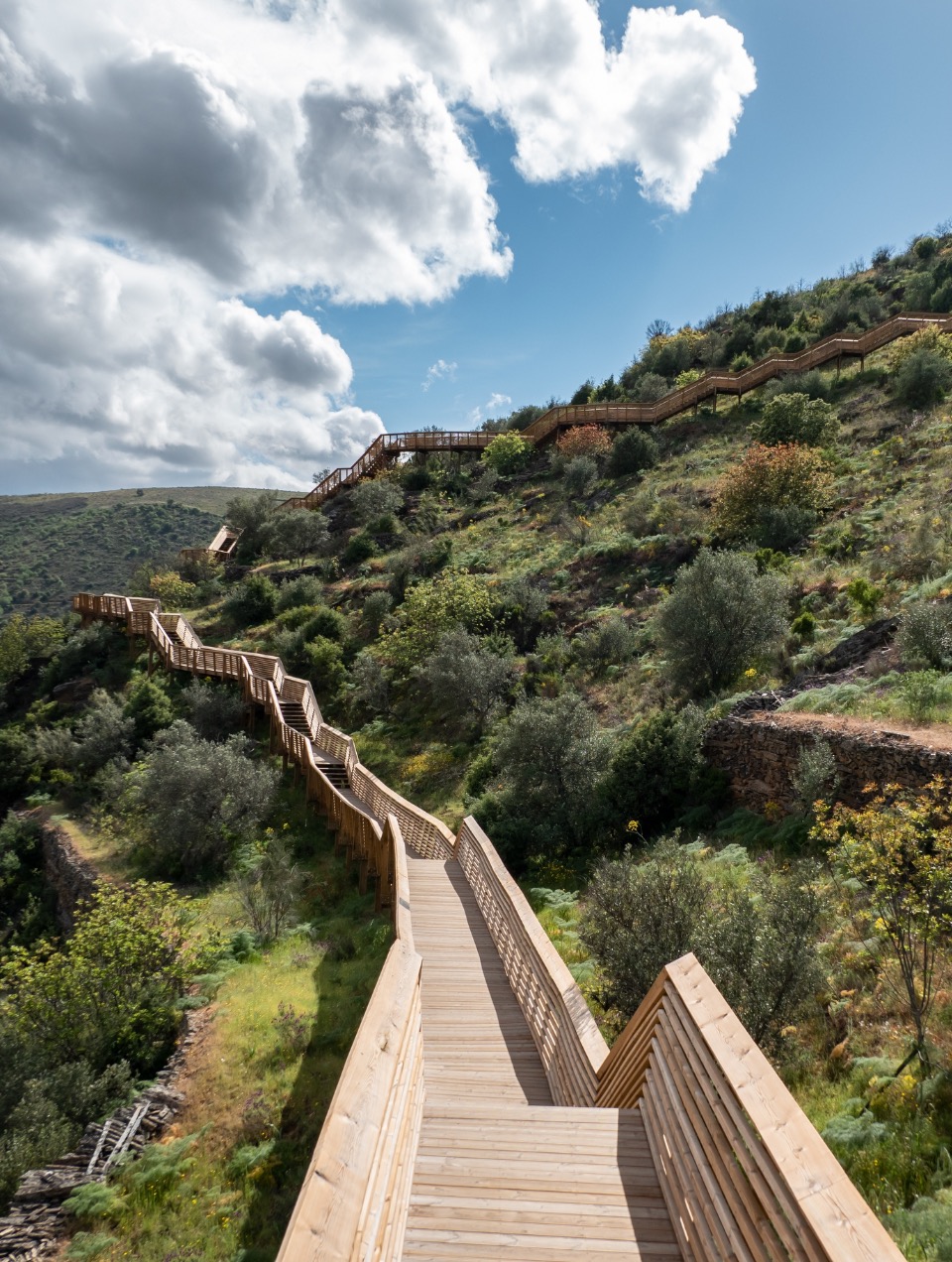 Where to go in Douro Valley | Foz Côa