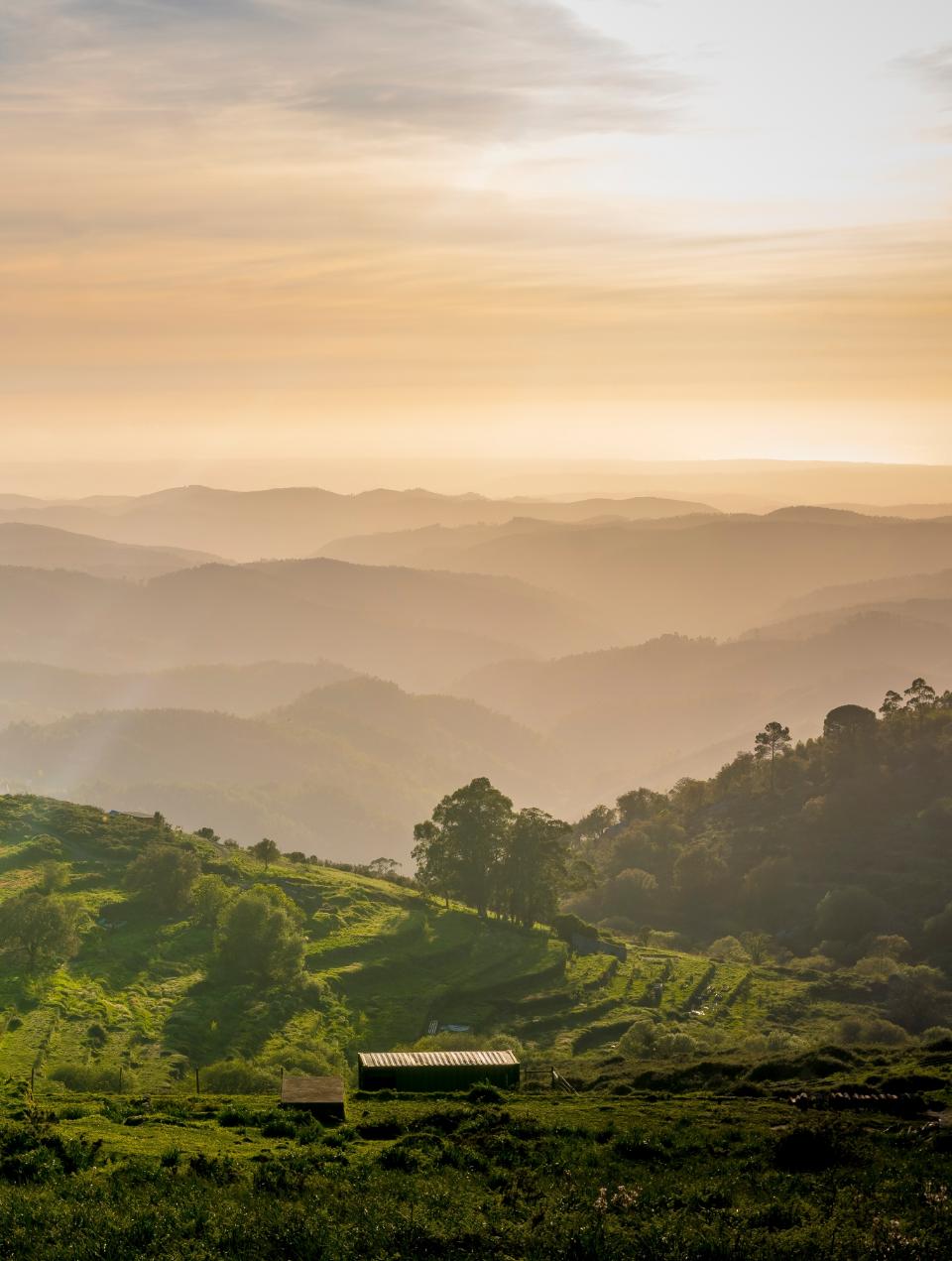 Where to go in Algarve | Monchique and Caldeirão Mountains