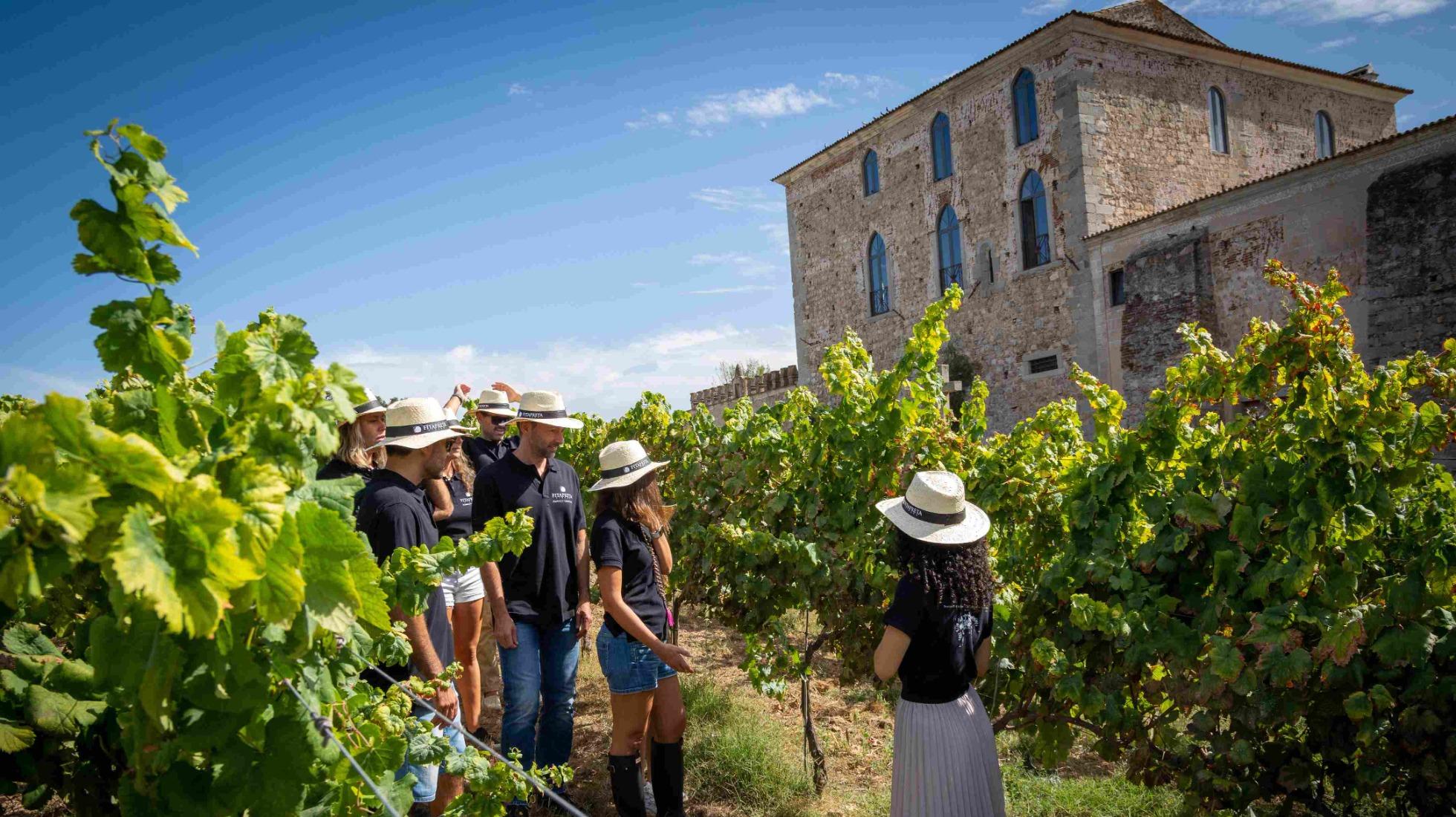 Small group of three travellers picking grapes at Fita Preta vineyard in Alentejo