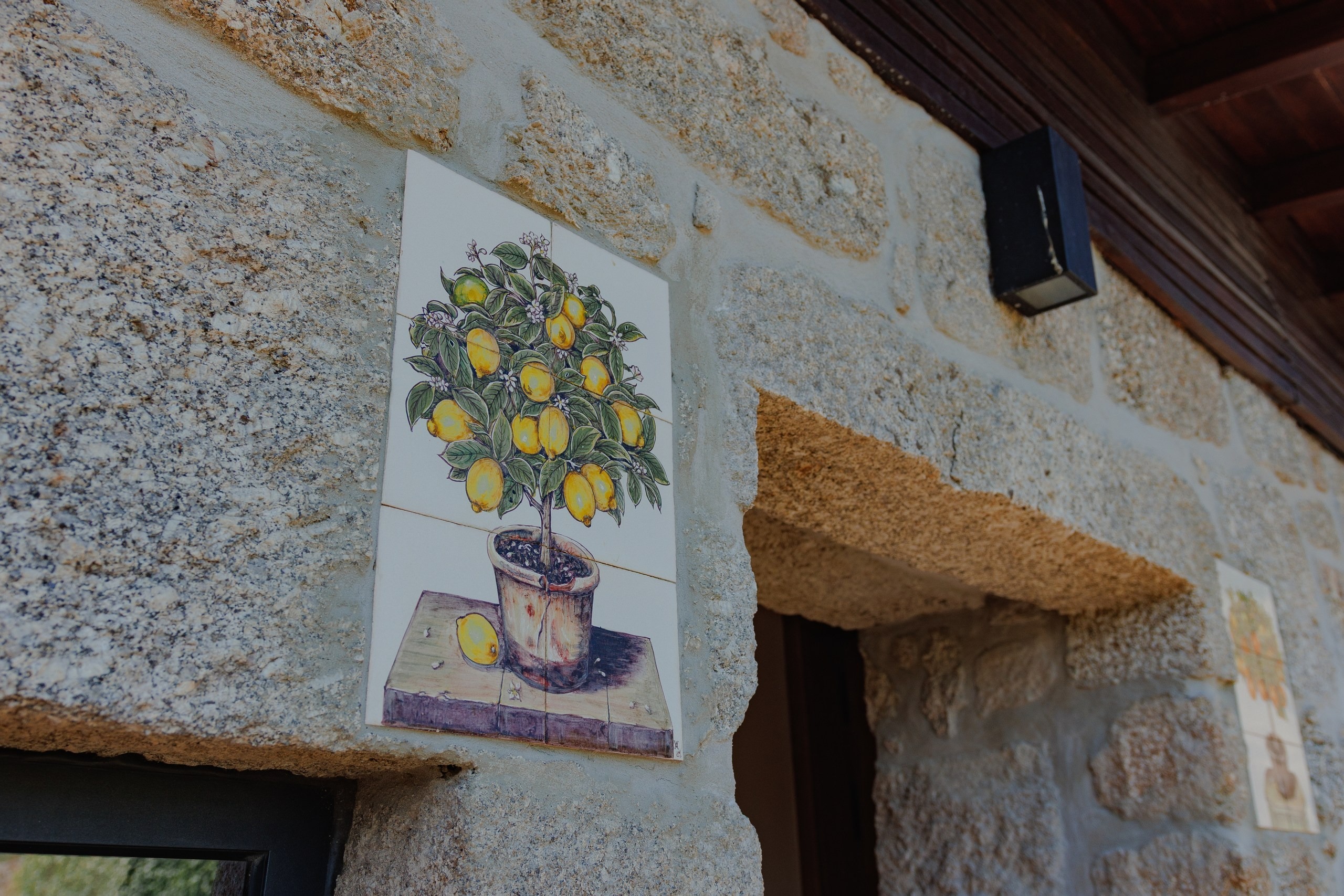 Chão de São Francisco - Soc. de Vitivinicultura e Turismo Rural, Lda*****