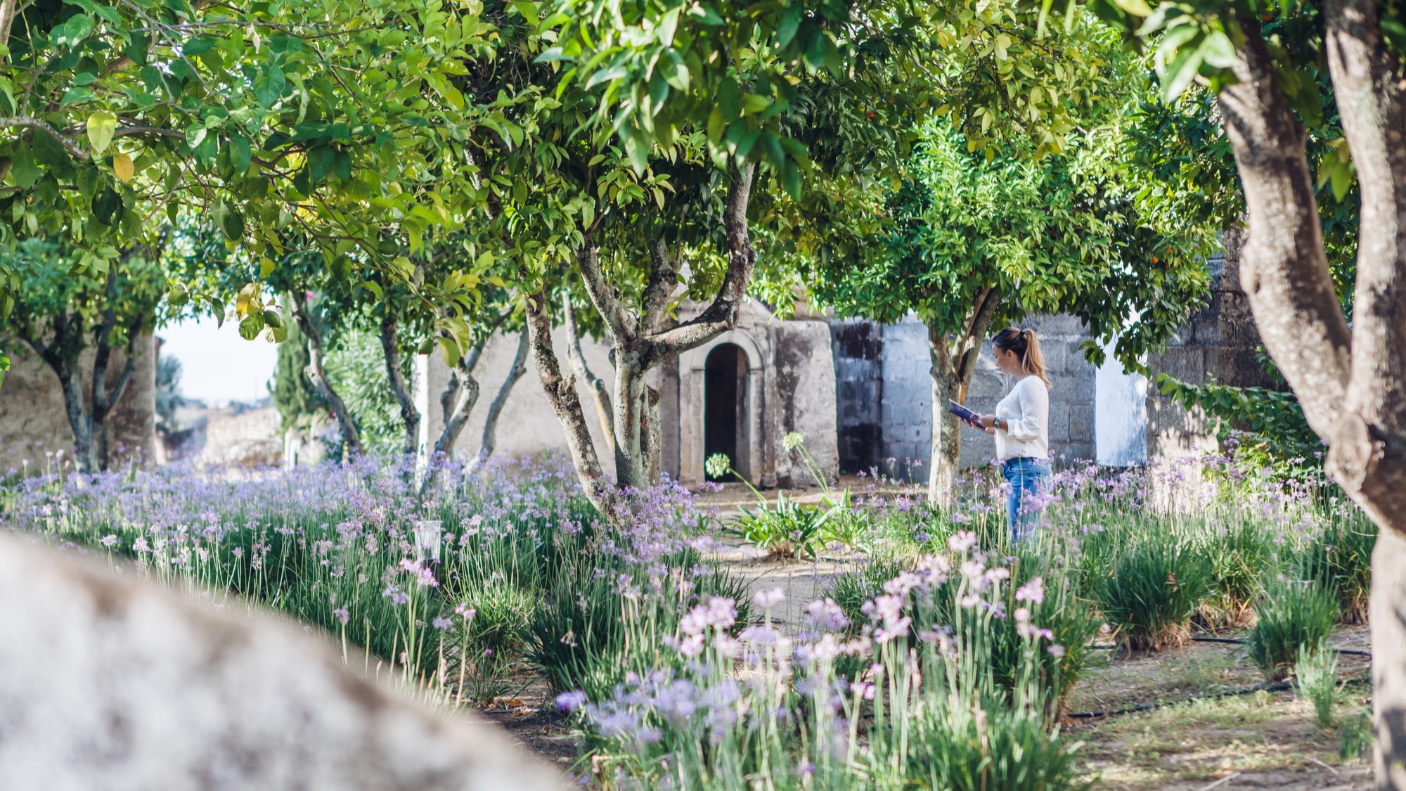 Convento do Espinheiro, Historic Hotel & Spa | Garden