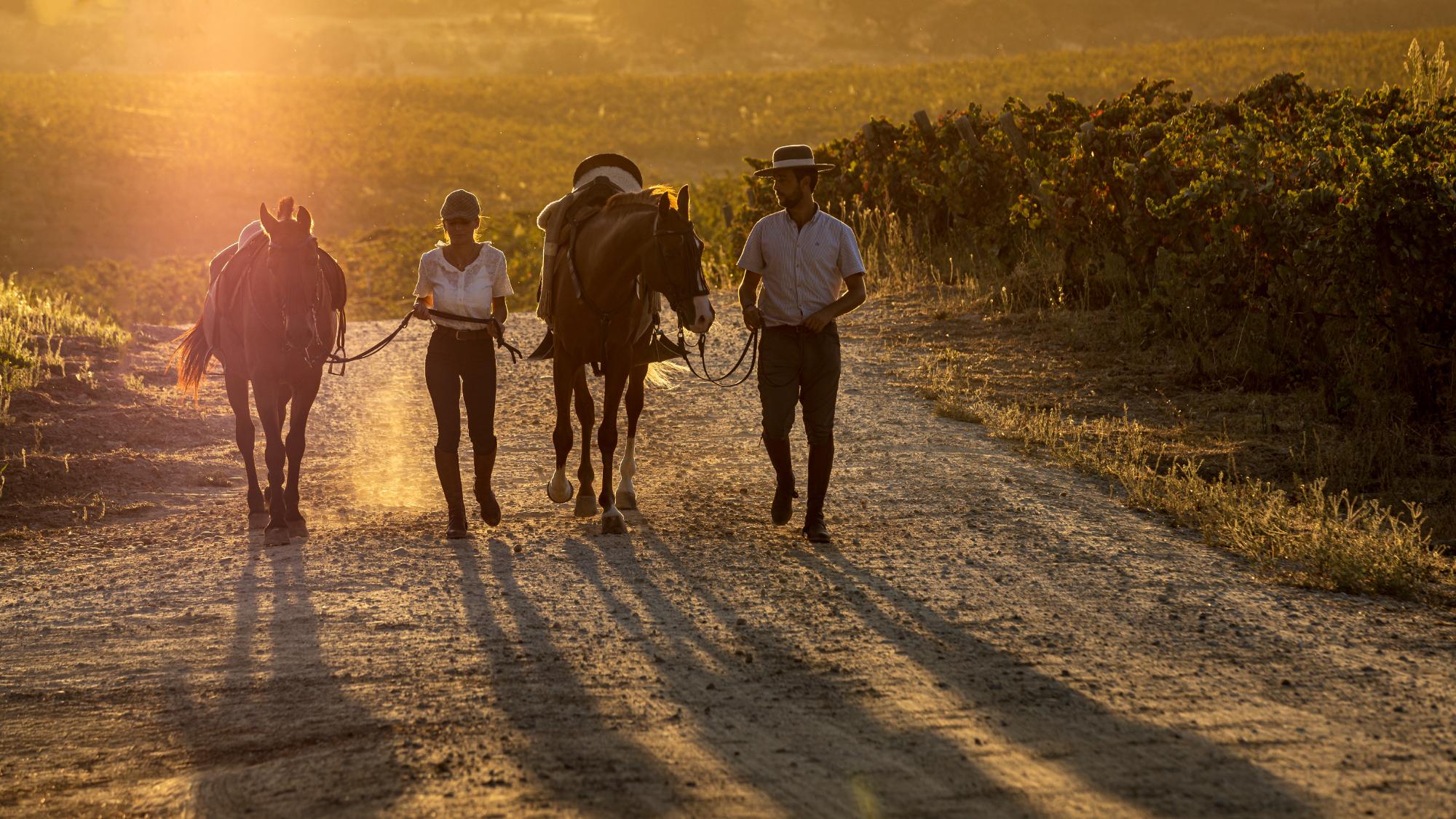 Herdade do Sobroso Luxury Wine Hotel