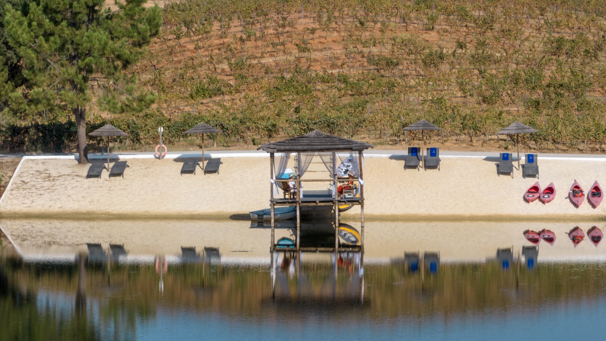 Herdade do Sobroso | View