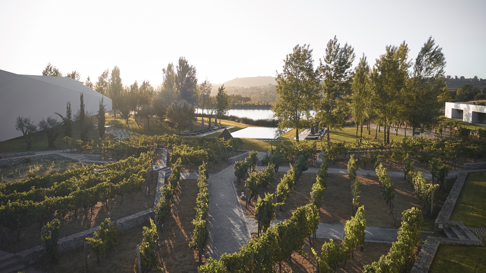 L'and Vineyards | Vineyards