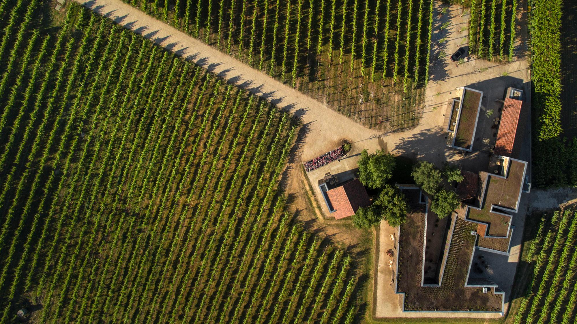Monverde Wine Experience Hotel****