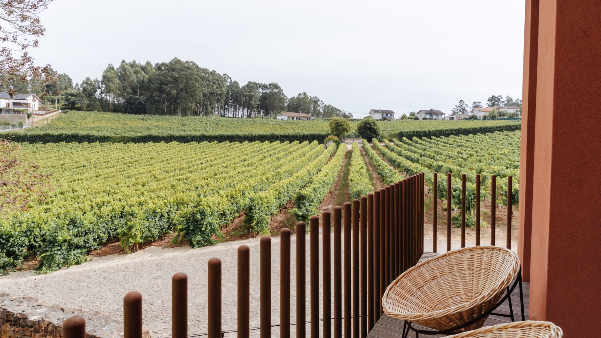 Monverde Wine Experience Hotel | Vineyards