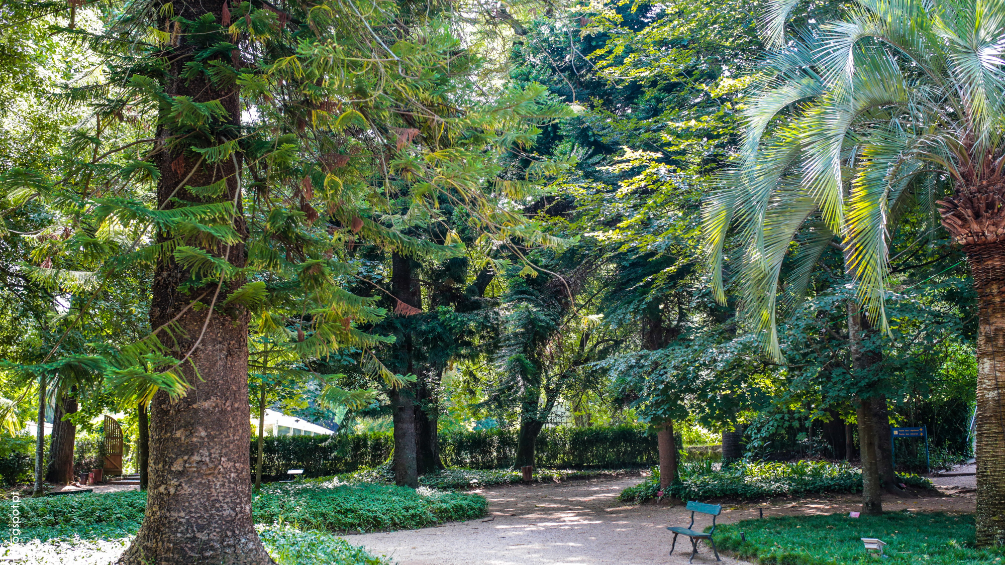 Quinta das Lágrimas, an SLH Hotel | Garden