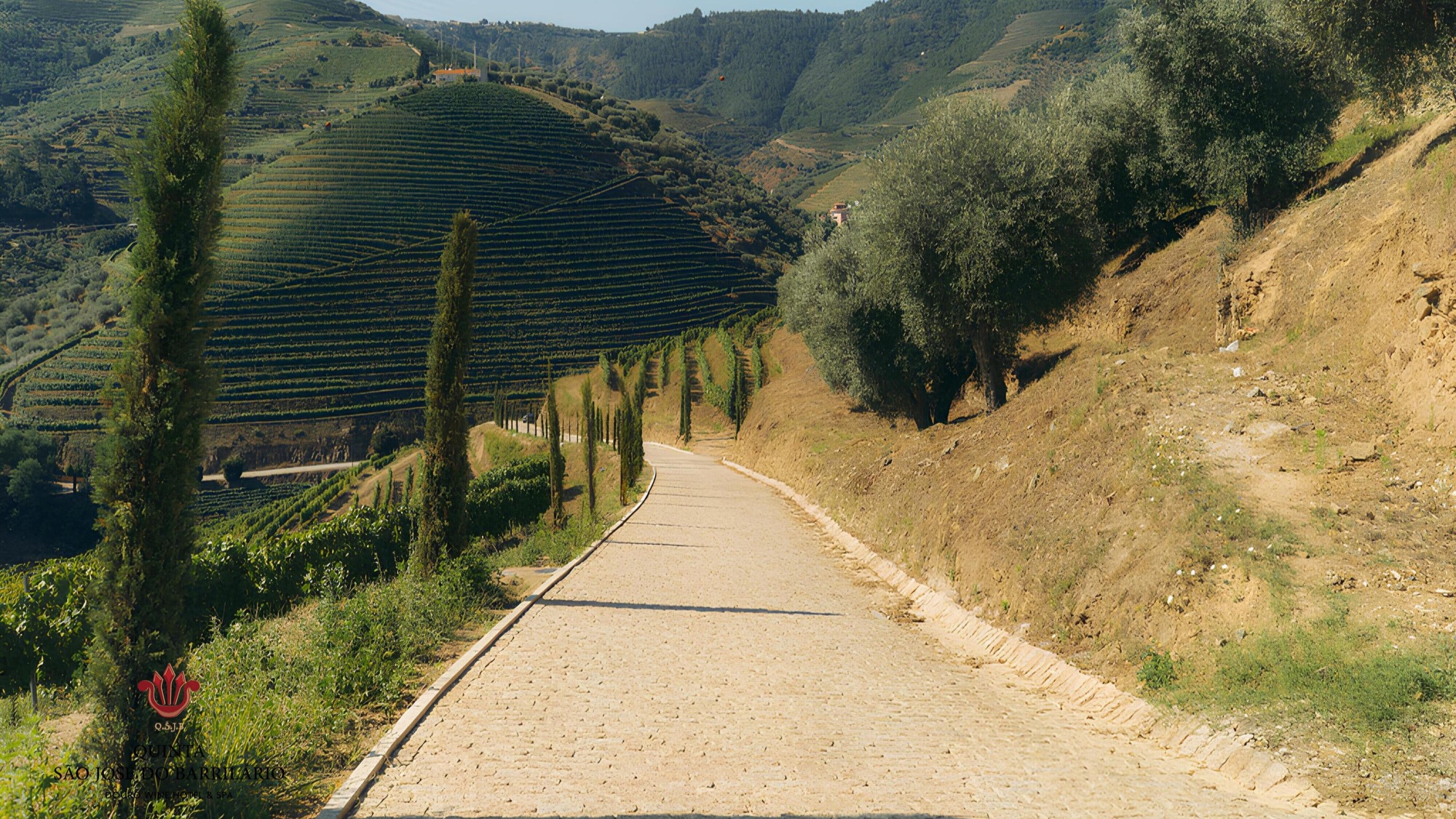 Quinta São José do Barrilário | Exterior