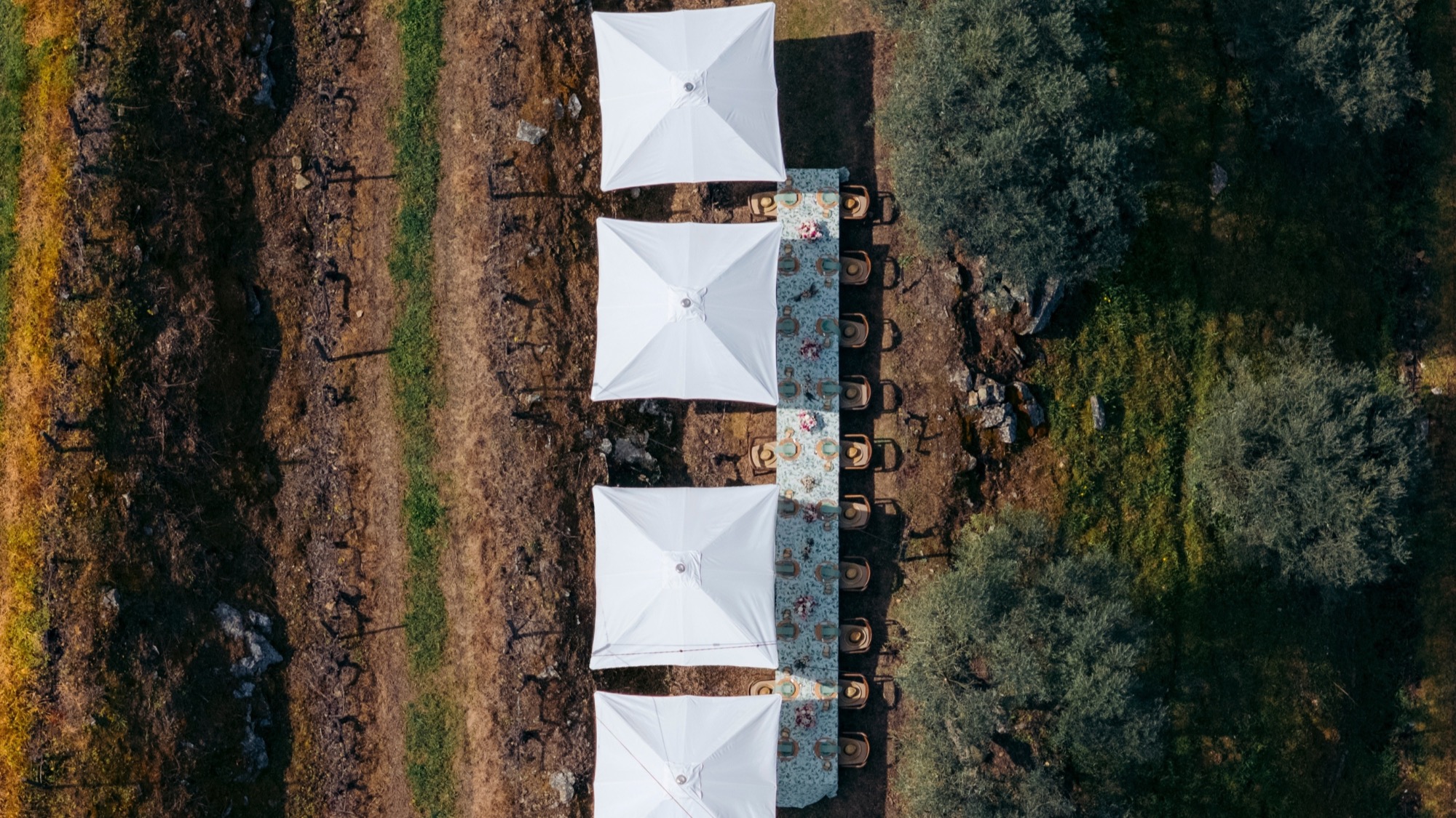 Quinta São José do Barrilário | Vineyars