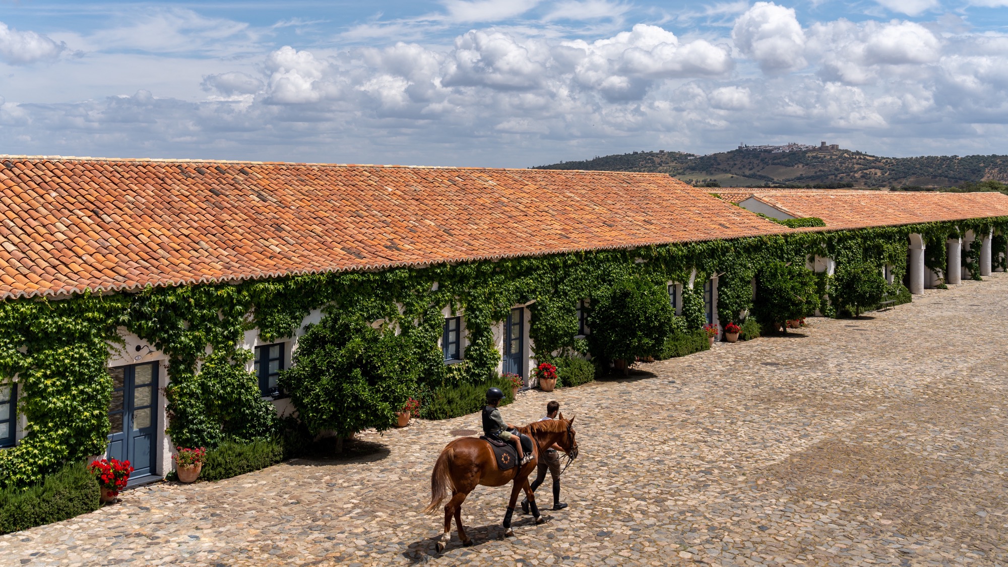 São Lourenço do Barrocal | Horse