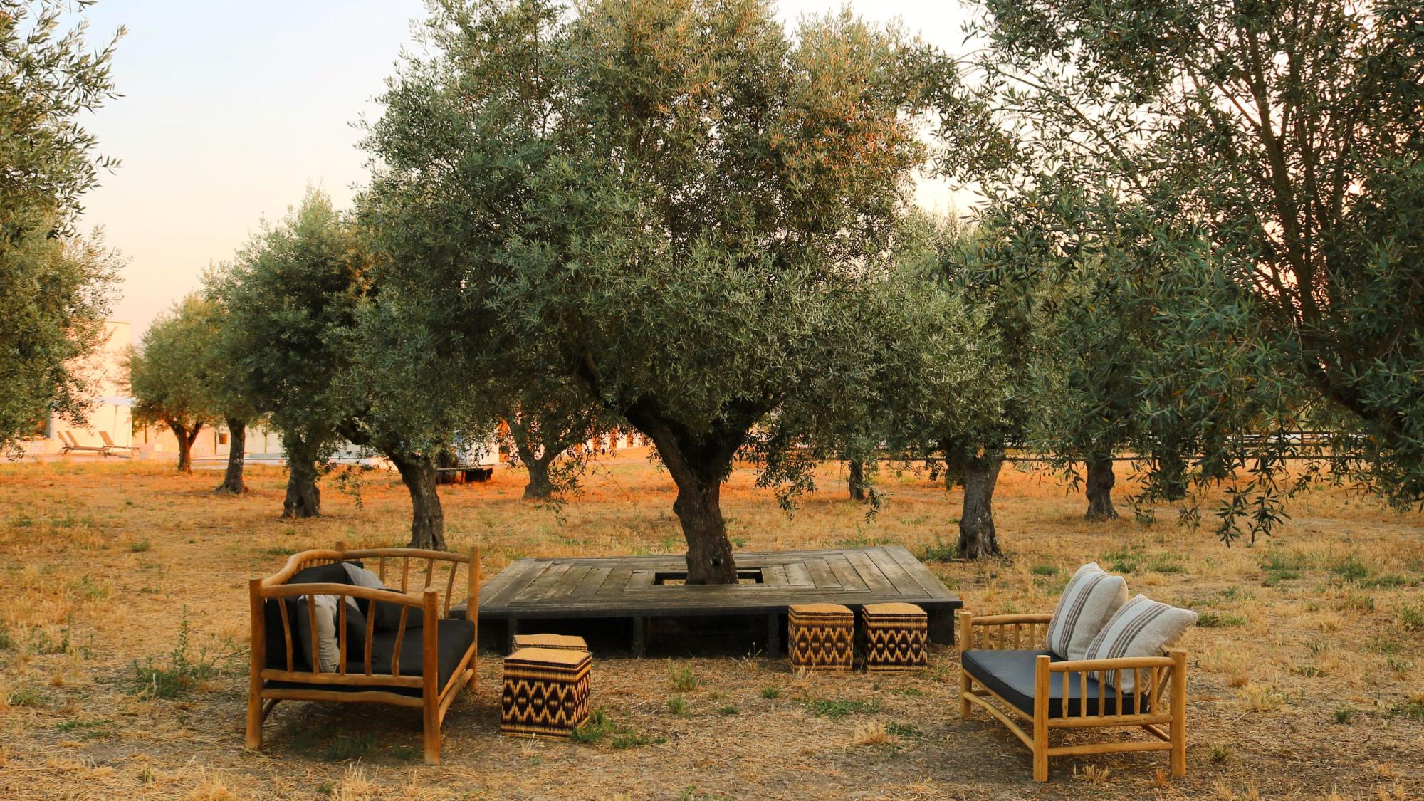 Torre de Palma Wine Hotel*****