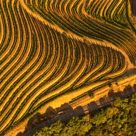 Where to go in Portugal Douro Valley