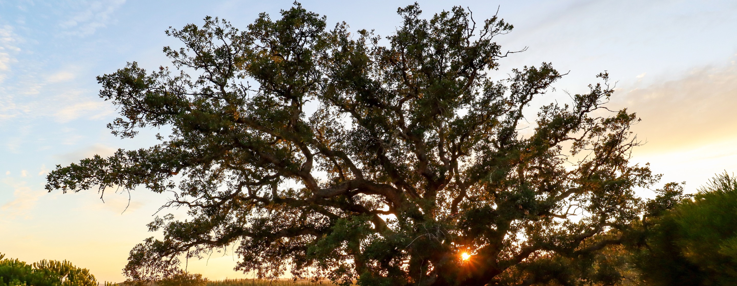 Where to go in Alentejo?