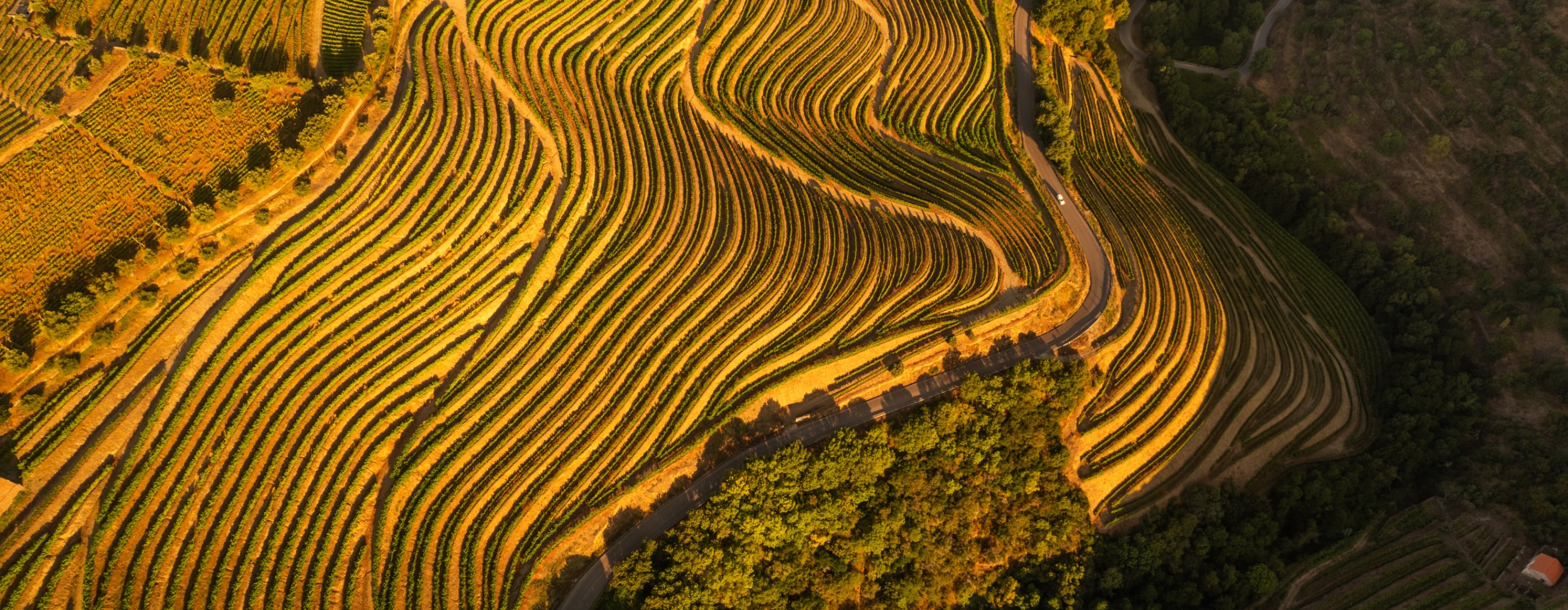 Where to go in Douro Valley?
