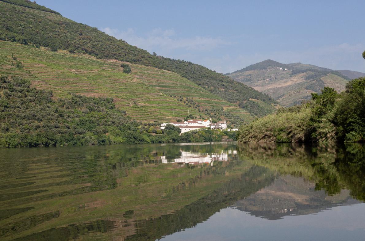 Douro Valley Wine Tour