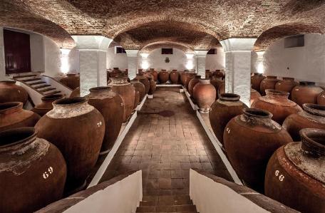 Visit and tasting of award winning winery