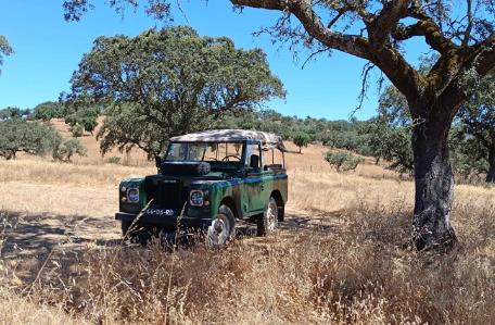 4x4 ride at cork oak landscape
