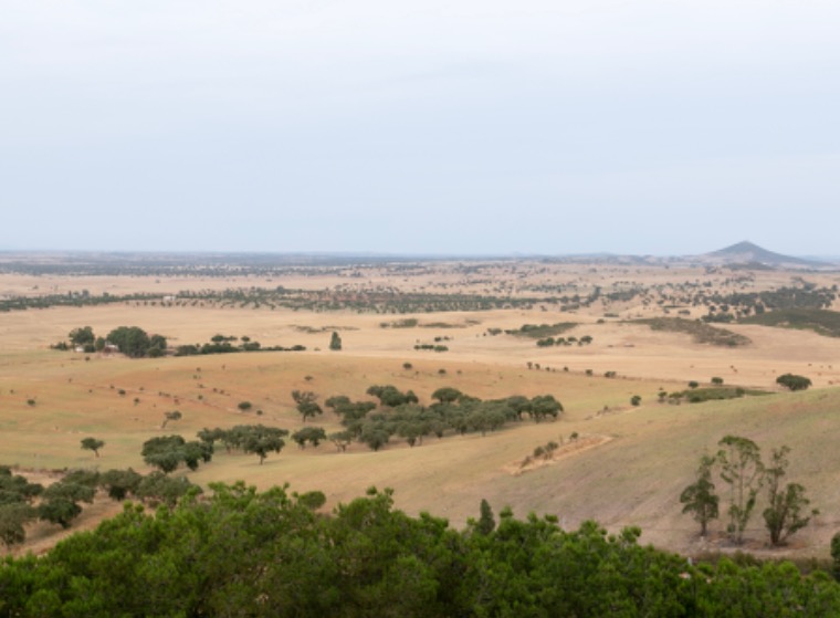 Paths through Alentejo: 7 Days of Luxury, Authenticity, and Sustainability
