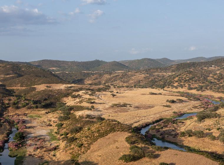 Deep Alentejo: 7 days of flavors, traditions, and well-being