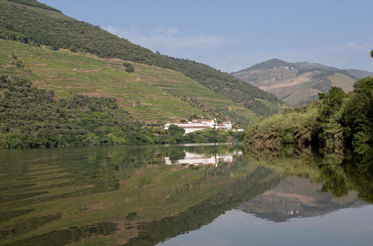 Douro Valley Wine Tour
