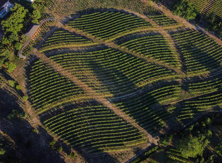 Portugal from north to south: a 12-day journey through the soul of the country