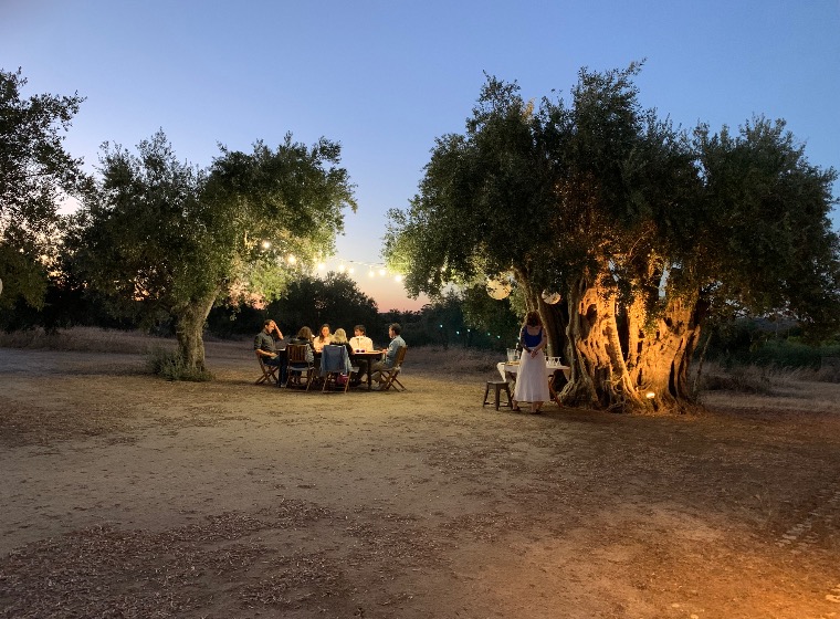 Évora Heritage: A Day of History and Flavors