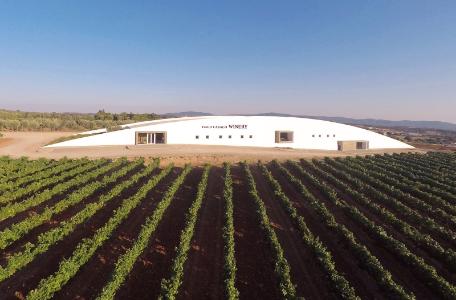 Winery renowned estate visit and tasting