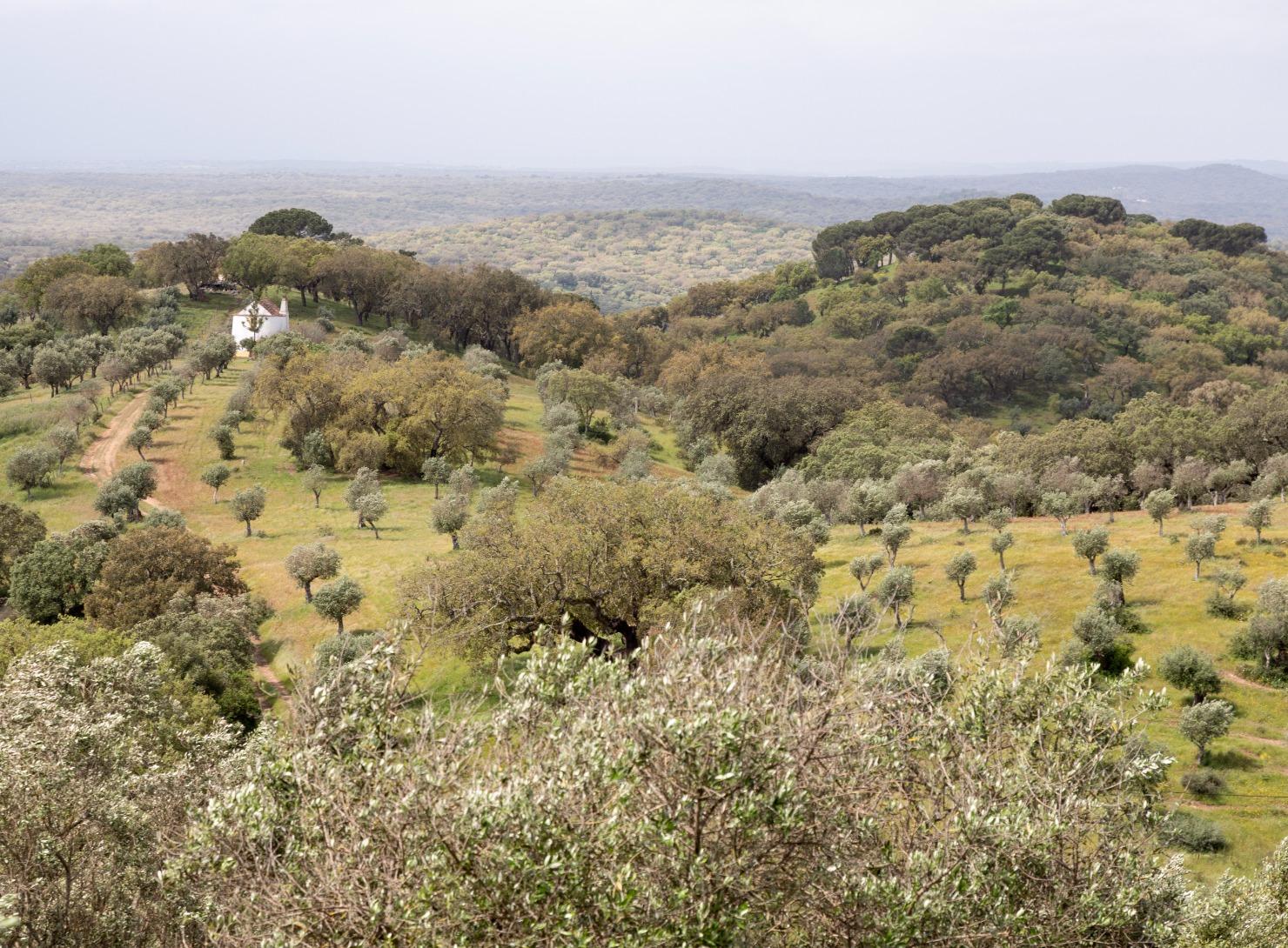 Soul of Alentejo: 7 Days of Authentic Experiences