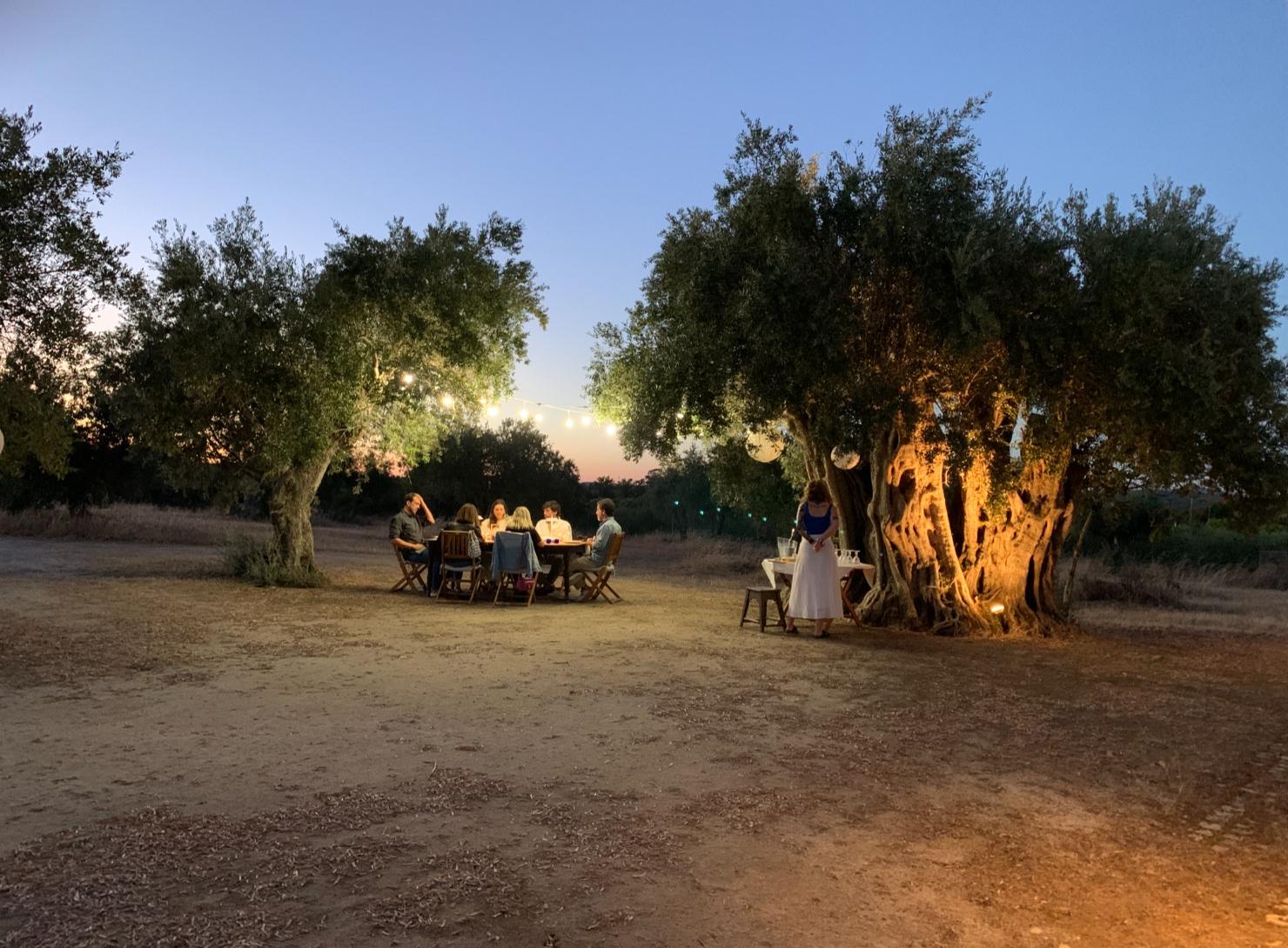 Soul of Alentejo: 7 Days of Authentic Experiences