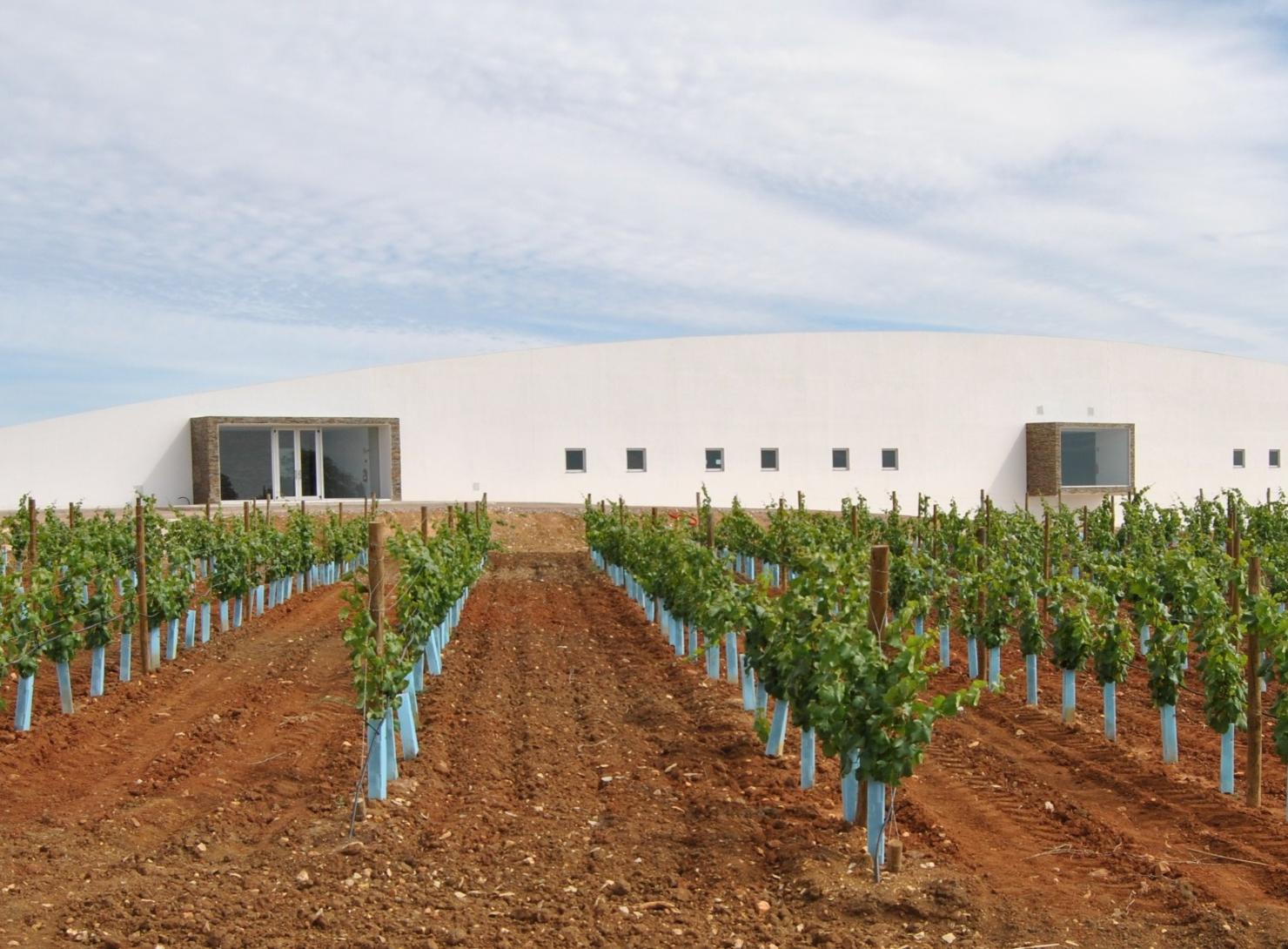 Soul of Alentejo: 7 Days of Authentic Experiences