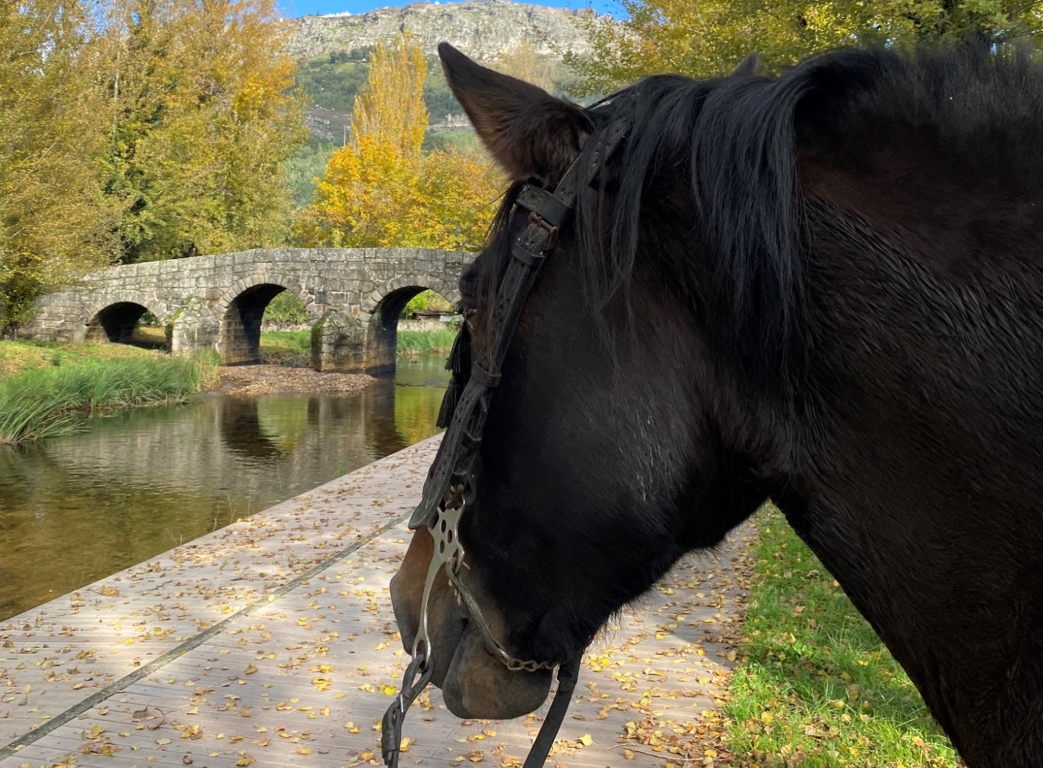 Central Portugal and Alentejo Essentials: Luxury, Gastronomy, and Tradition in 7 Days