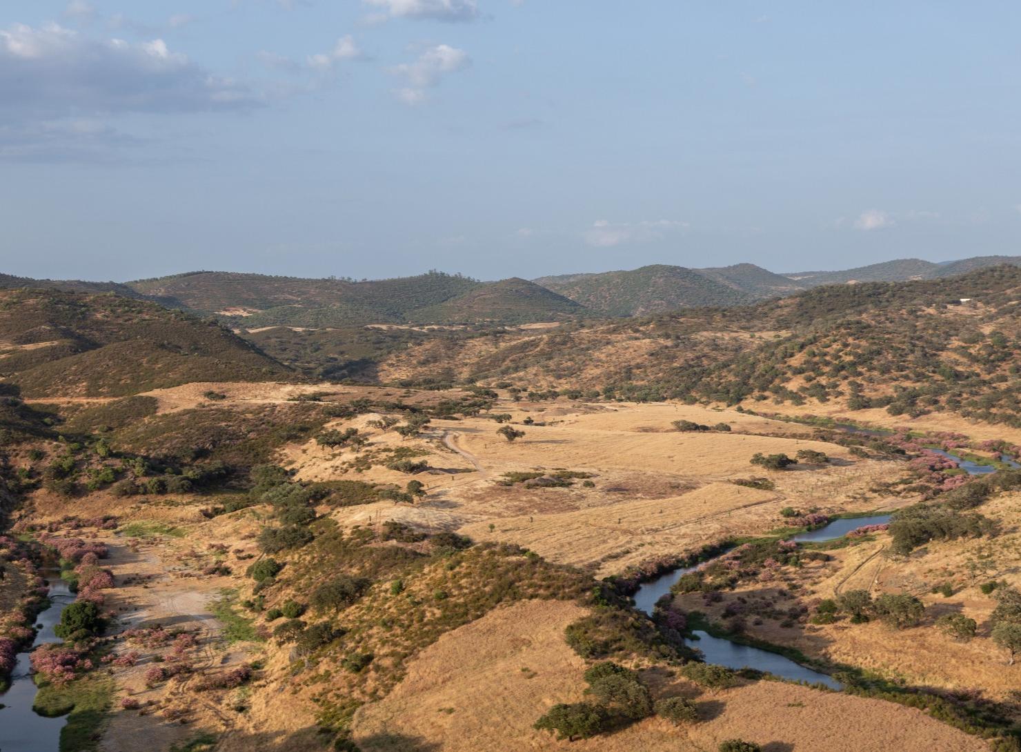 Deep Alentejo: 7 days of flavors, traditions, and well-being