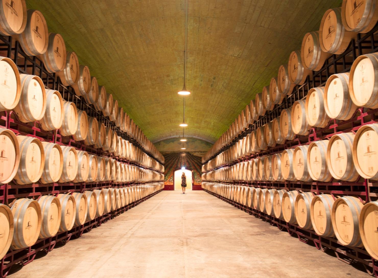 Deep Alentejo: 7 days of flavors, traditions, and well-being