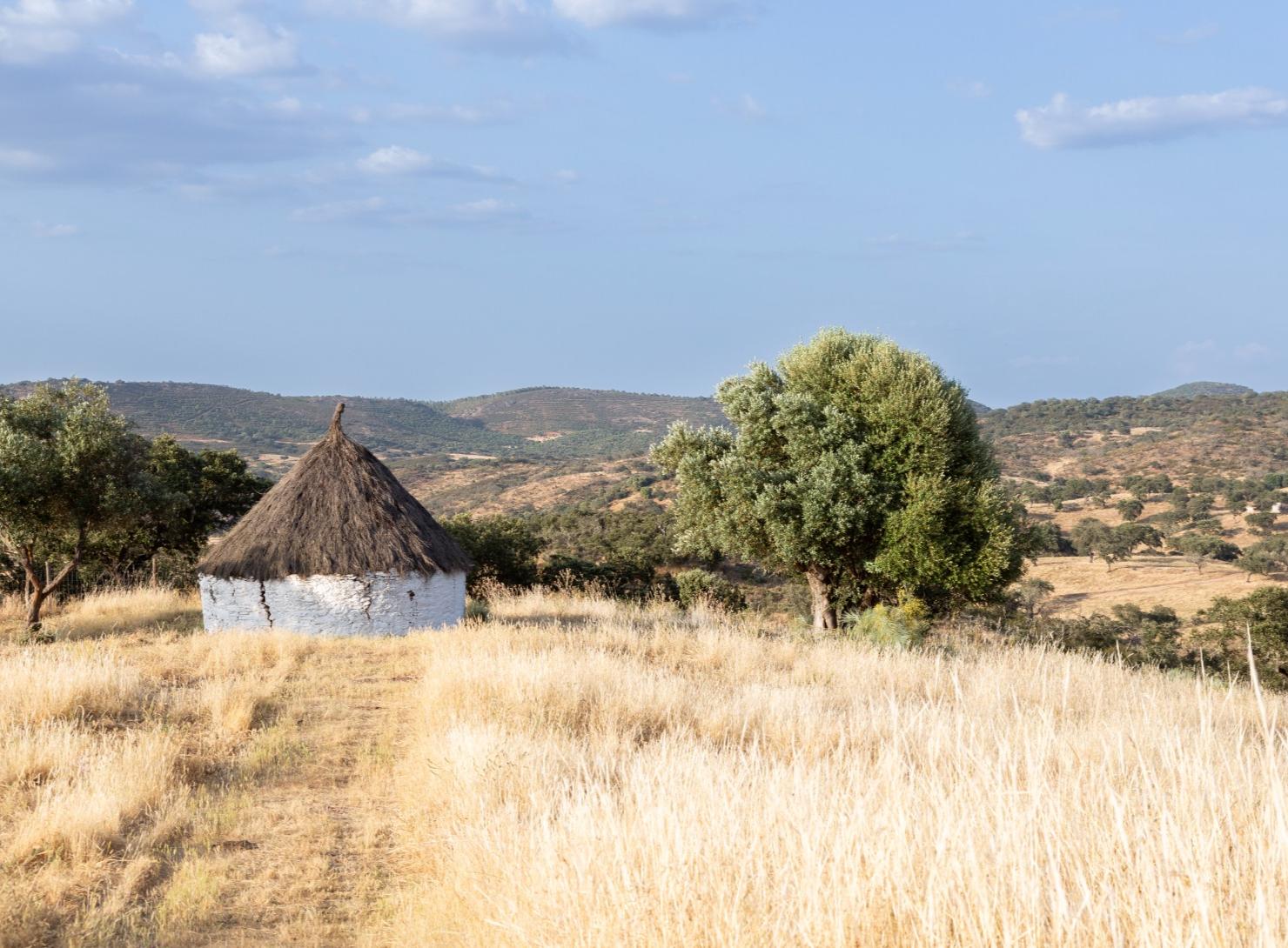 Deep Alentejo: 7 days of flavors, traditions, and well-being