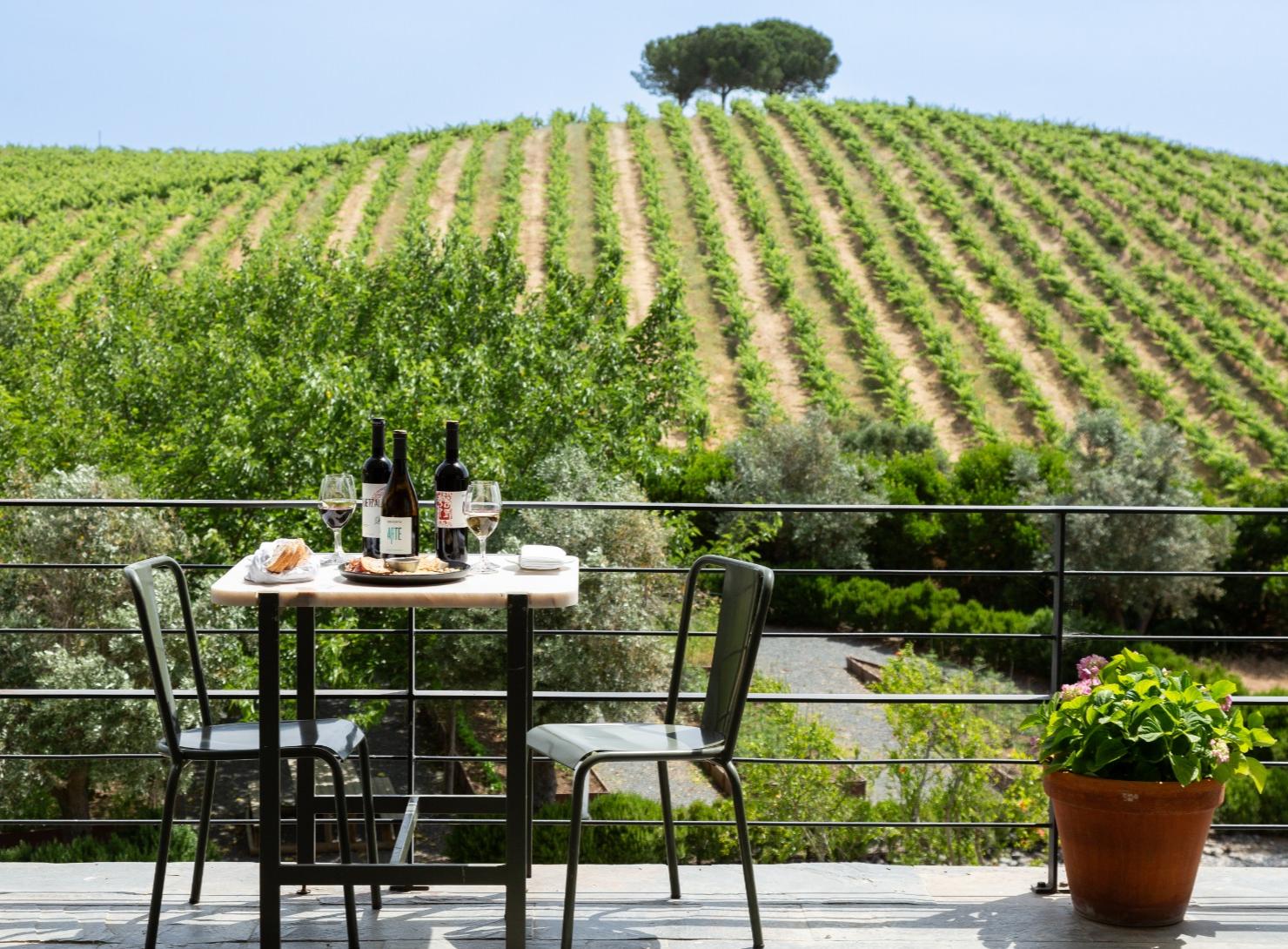 Deep Alentejo: 7 days of flavors, traditions, and well-being