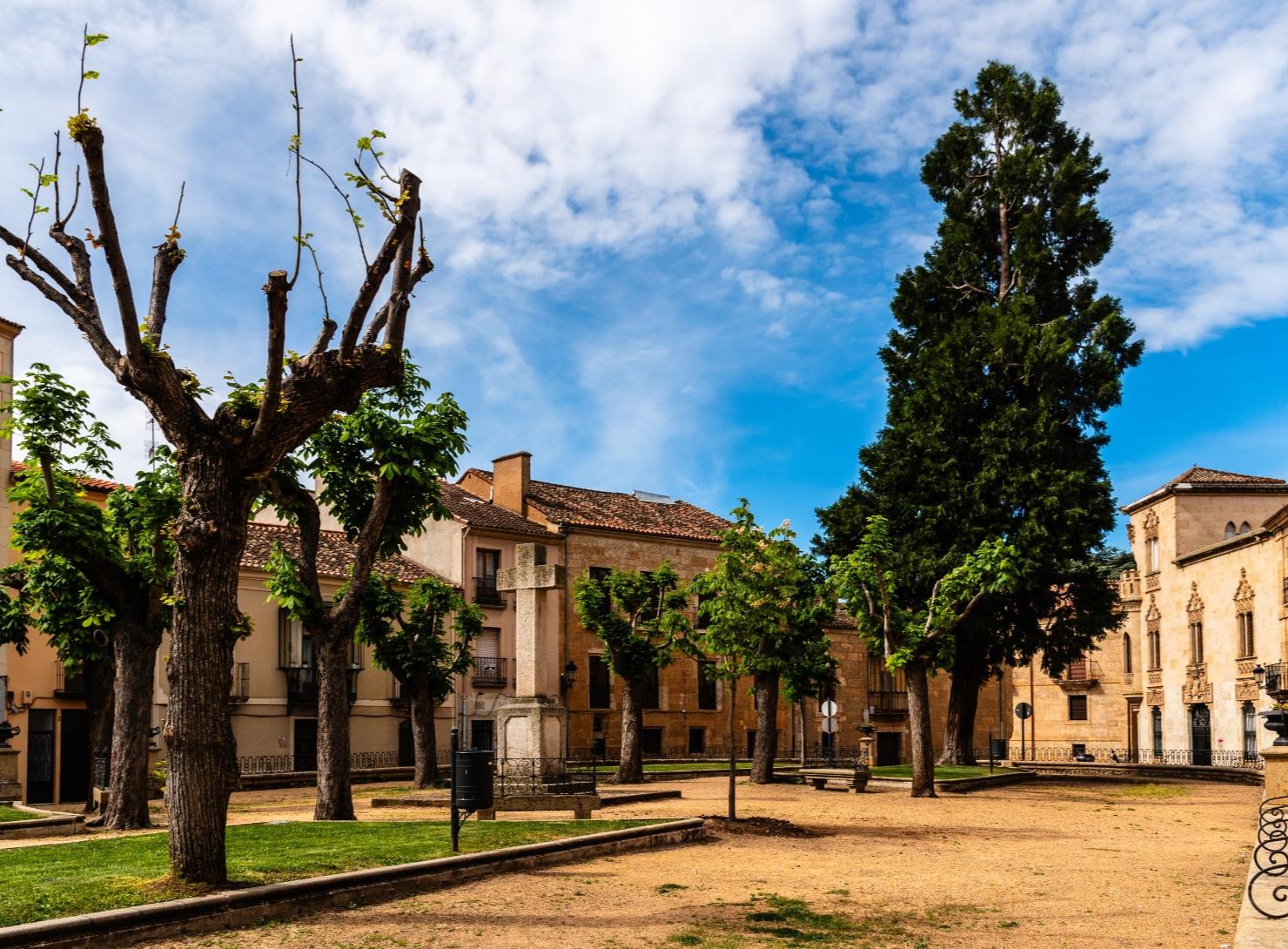 Deep Douro and Central Portugal: Wines, Nature, and Historic Villages in 7 Days