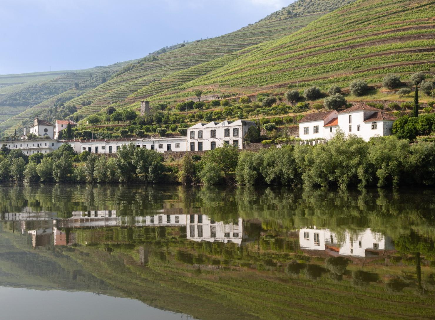 Deep Douro and Central Portugal: Wines, Nature, and Historic Villages in 7 Days