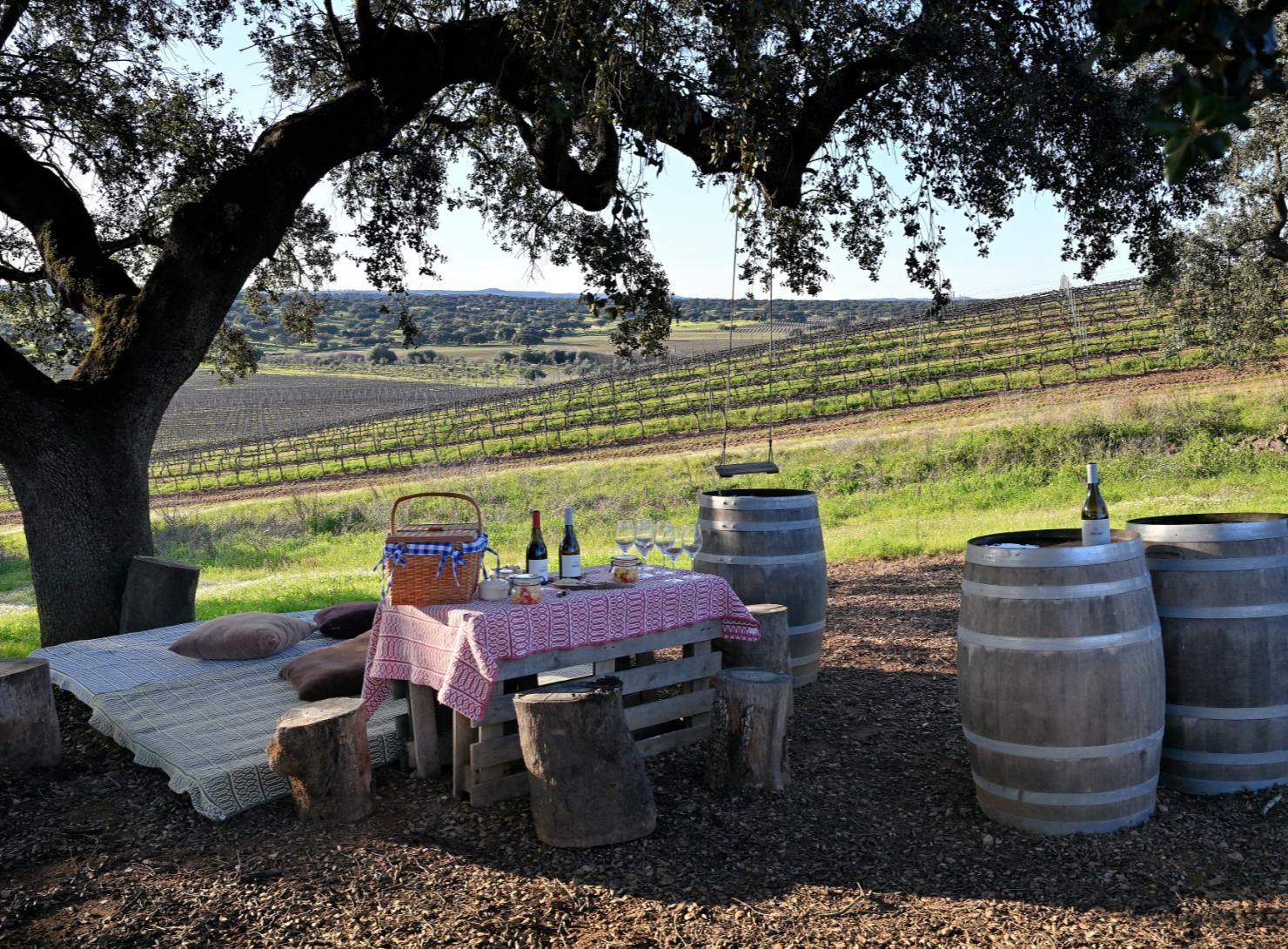 Discover the Essence of Alentejo: A Premium 3-Day Immersive Journey