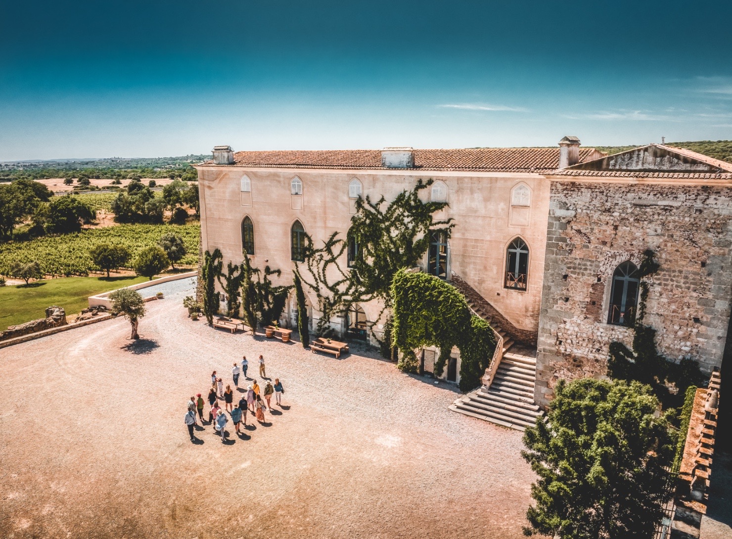 Authentic Évora: History, Food, and Wine in One Day