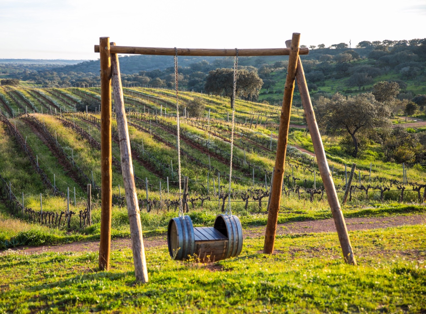 Herdade do Sobroso | Swing