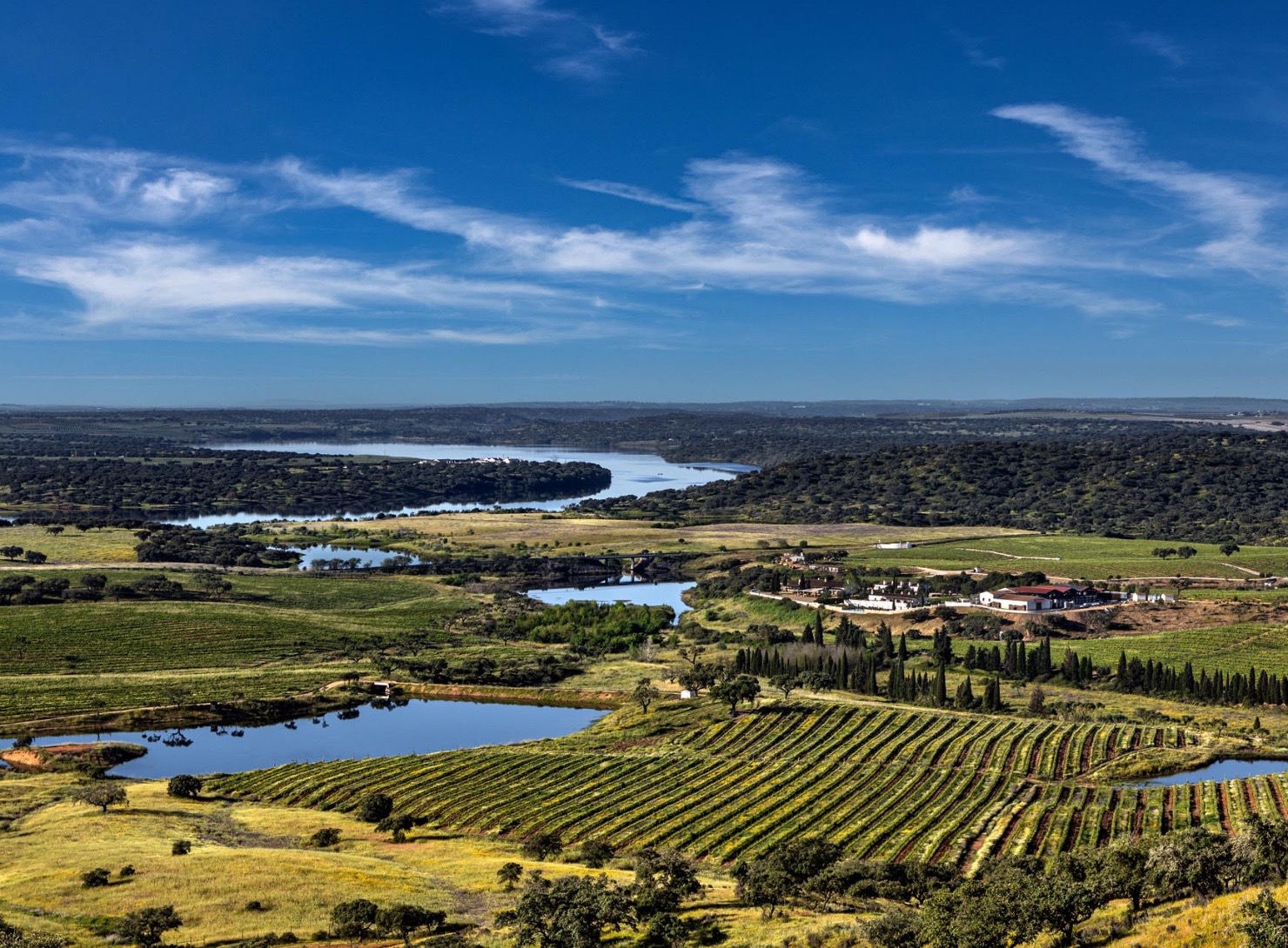 Herdade do Sobroso | View