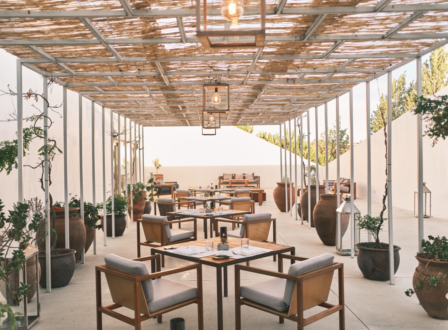 L'and Vineyards | Pateo